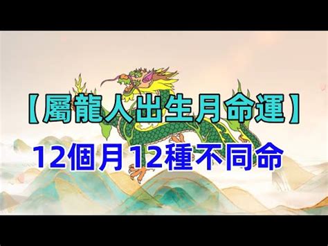 龍 年出生的人|屬龍人的性格